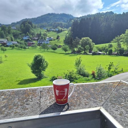 Wohnung Rheintal Im Alpenvorland Batschuns Exterior photo