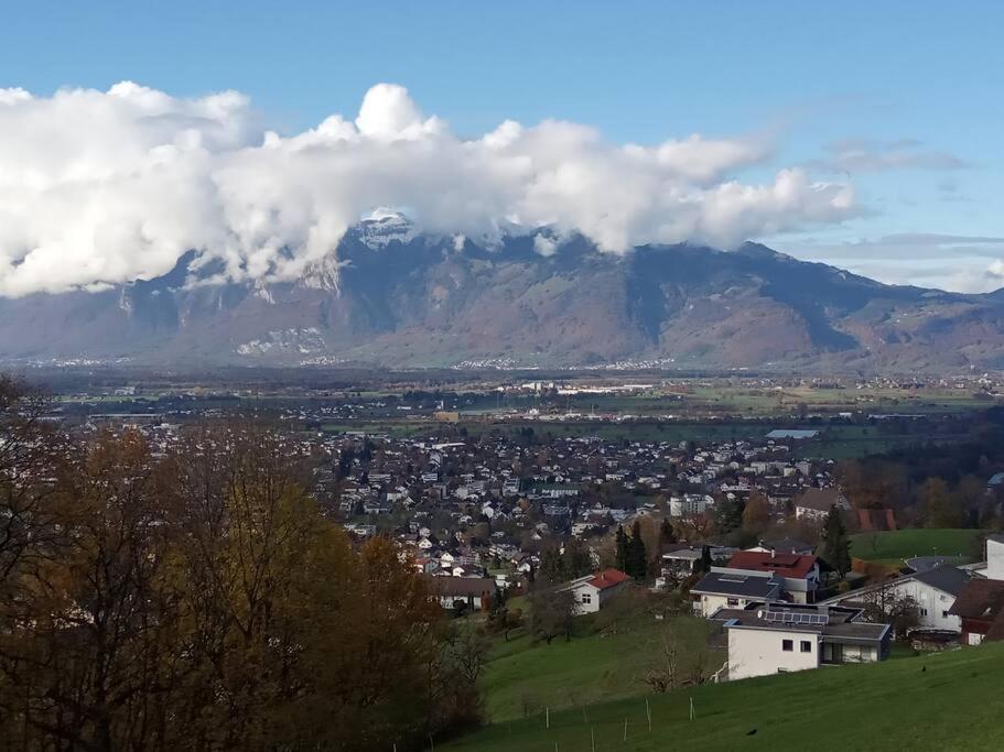 Wohnung Rheintal Im Alpenvorland Batschuns Exterior photo