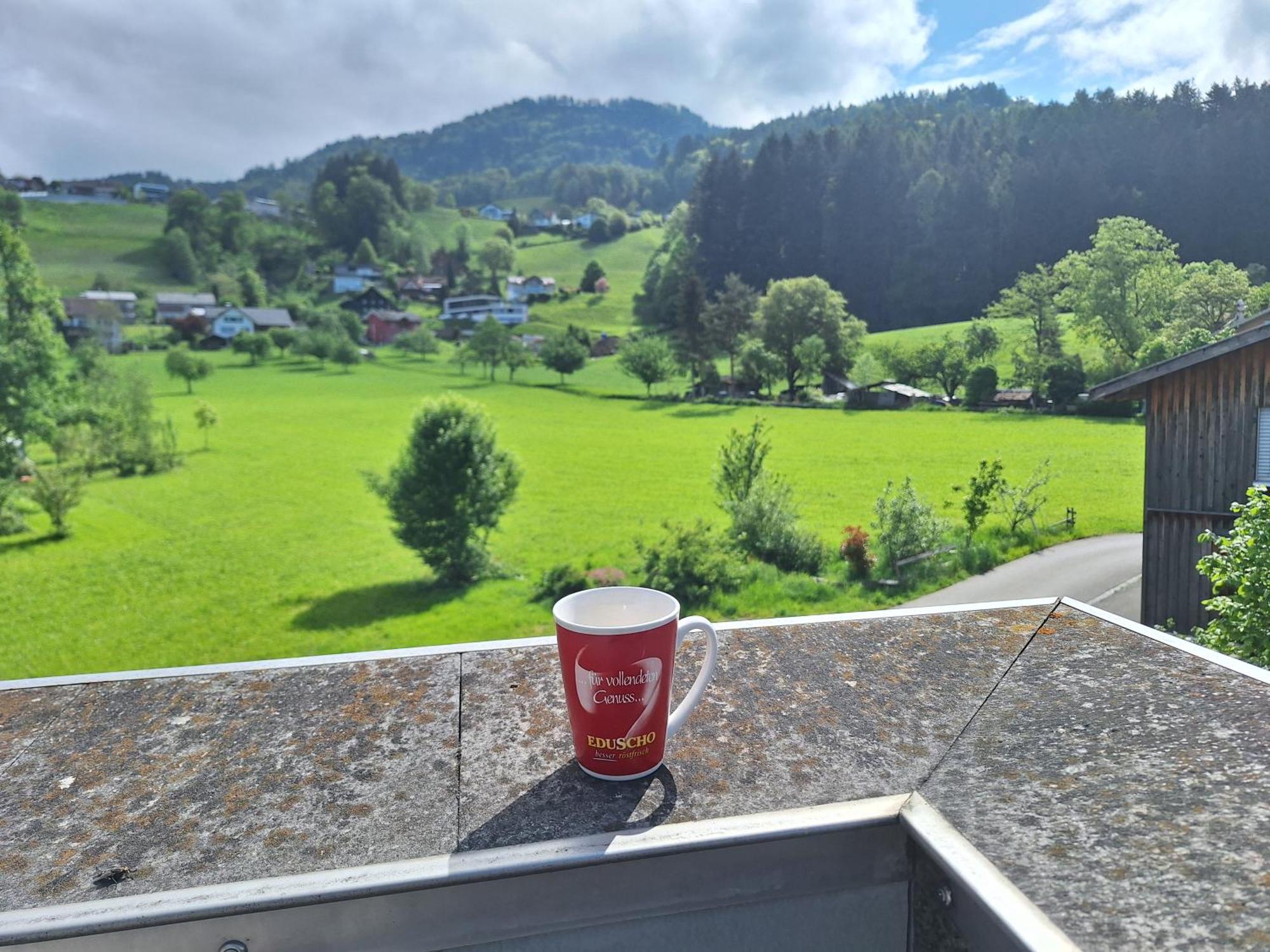 Wohnung Rheintal Im Alpenvorland Batschuns Exterior photo