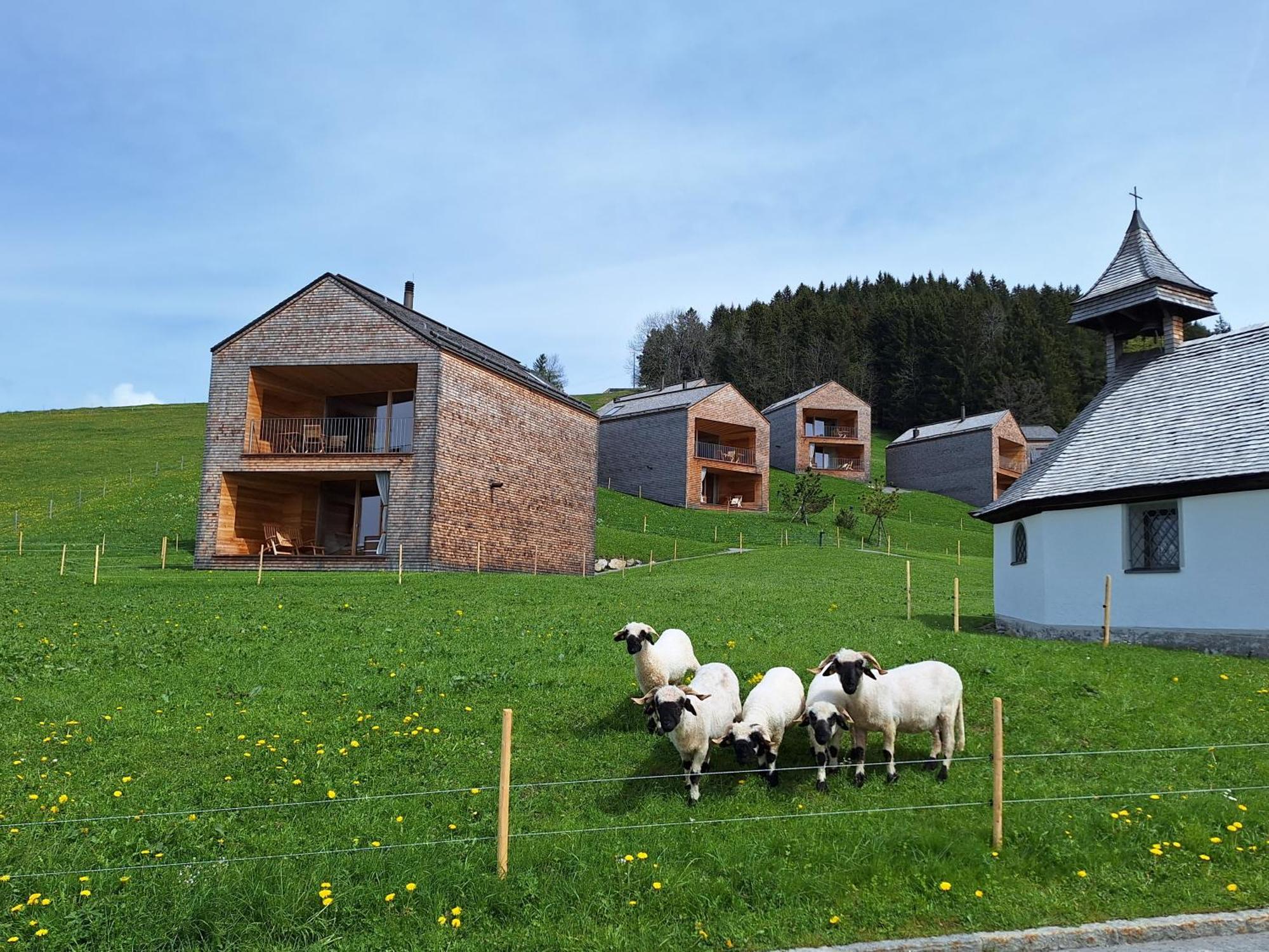 Wohnung Rheintal Im Alpenvorland Batschuns Exterior photo